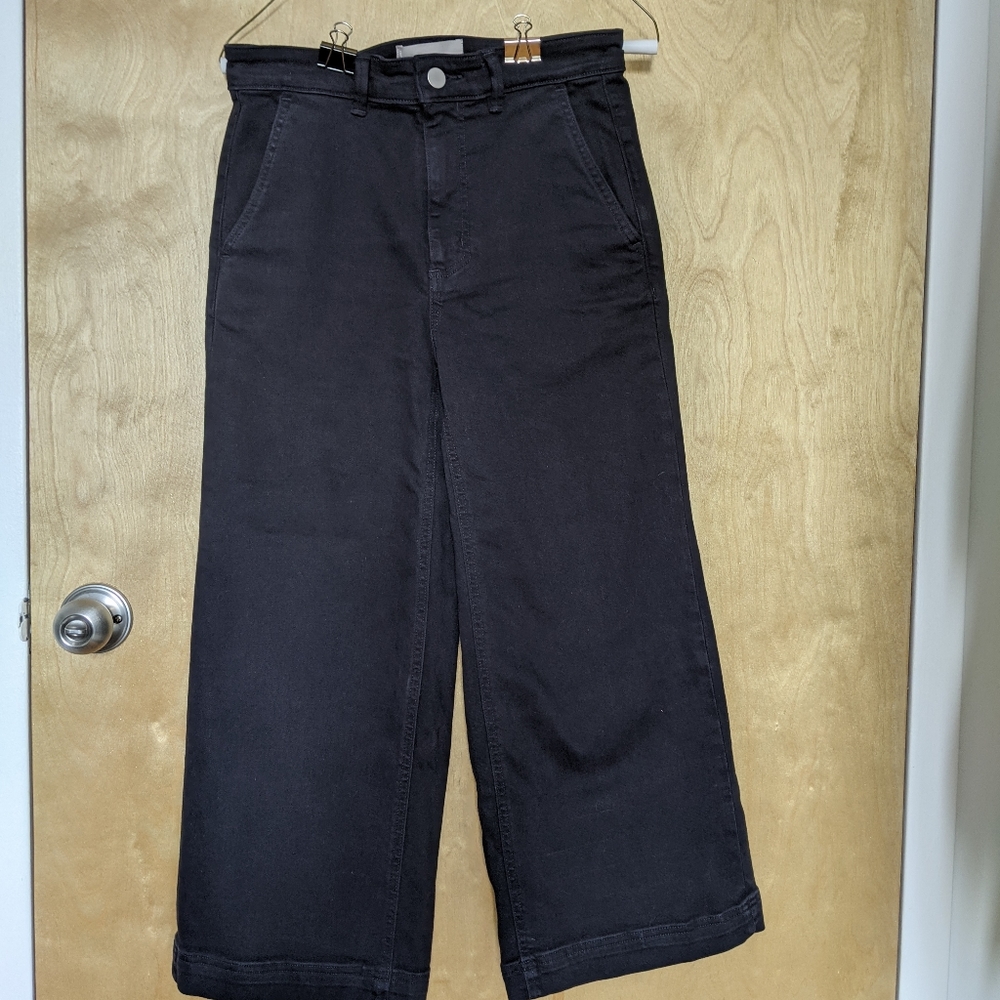 Everlane Wide Leg Crop Pant